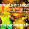 Sound of Music Danceshow